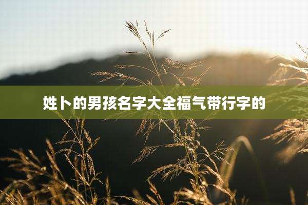 姓卜的男孩名字大全福气带行字的