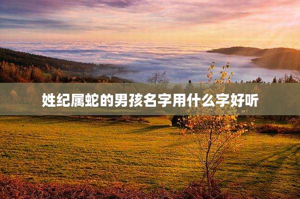 姓纪属蛇的男孩名字用什么字好听