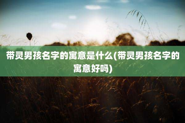 带灵男孩名字的寓意是什么(带灵男孩名字的寓意好吗)