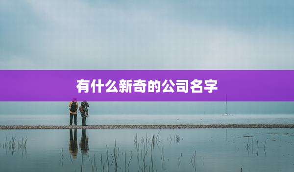 有什么新奇的公司名字