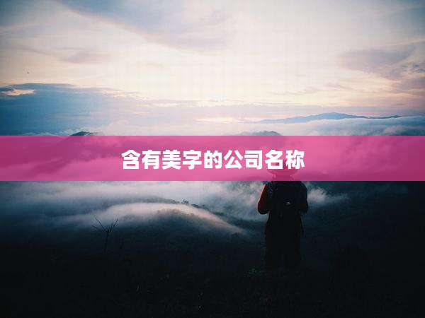 含有美字的公司名称