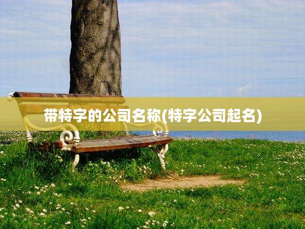 带特字的公司名称(特字公司起名)