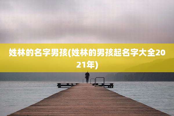 姓林的名字男孩(姓林的男孩起名字大全2021年)