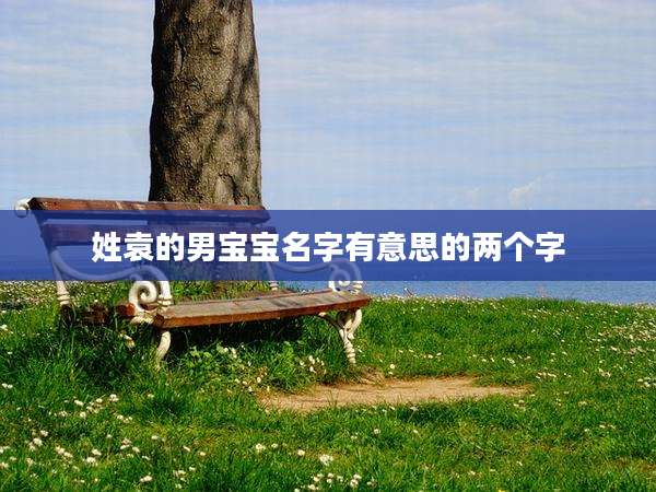 姓袁的男宝宝名字有意思的两个字