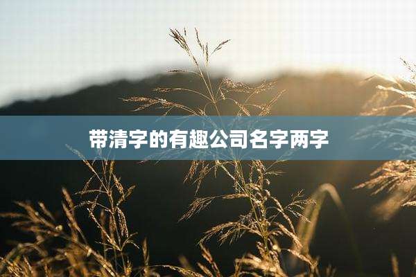 带清字的有趣公司名字两字