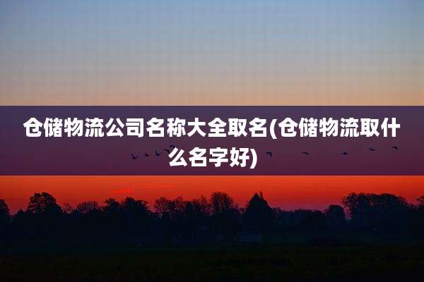 仓储物流公司名称大全取名(仓储物流取什么名字好)