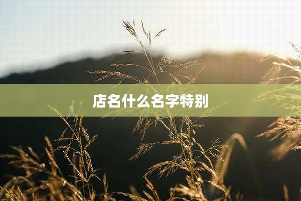 店名什么名字特别