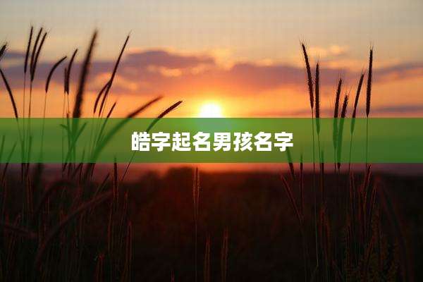 皓字起名男孩名字