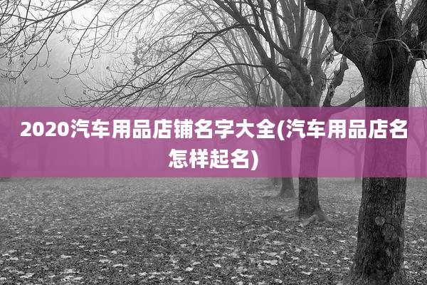 2020汽车用品店铺名字大全(汽车用品店名怎样起名)