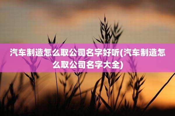 汽车制造怎么取公司名字好听(汽车制造怎么取公司名字大全)