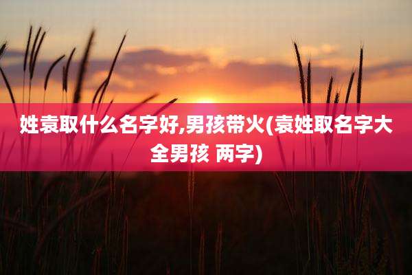 姓袁取什么名字好,男孩带火(袁姓取名字大全男孩 两字)