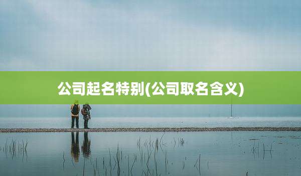 公司起名特别(公司取名含义)