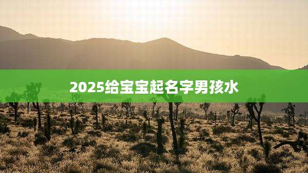 2025给宝宝起名字男孩水