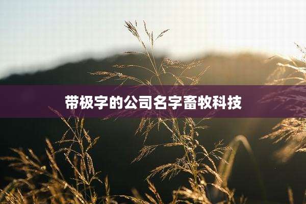 带极字的公司名字畜牧科技
