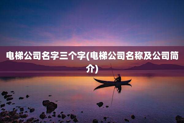 电梯公司名字三个字(电梯公司名称及公司简介)