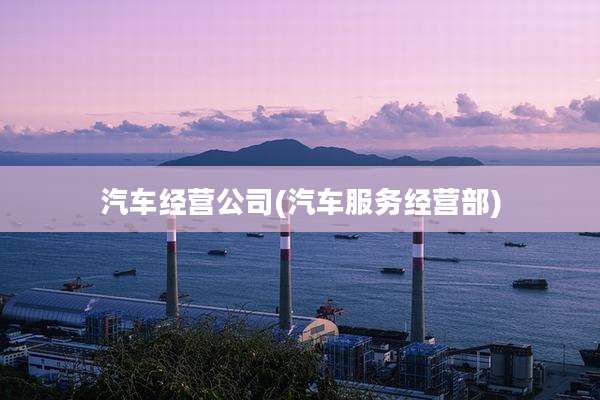 汽车经营公司(汽车服务经营部)