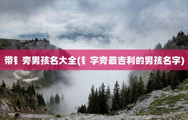 带钅旁男孩名大全(钅字旁最吉利的男孩名字)