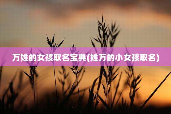 万姓的女孩取名宝典(姓万的小女孩取名)