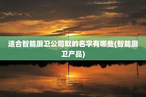 适合智能厨卫公司取的名字有哪些(智能厨卫产品)