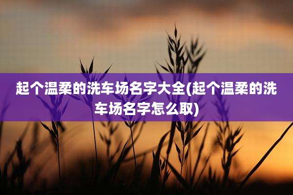 起个温柔的洗车场名字大全(起个温柔的洗车场名字怎么取)