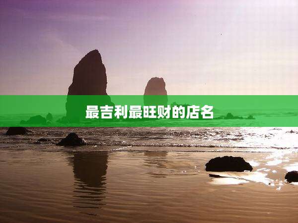 最吉利最旺财的店名