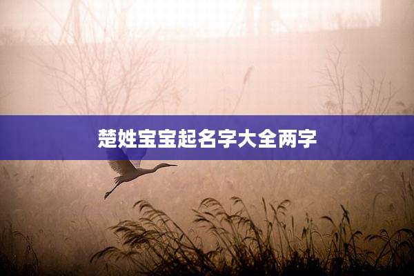 楚姓宝宝起名字大全两字