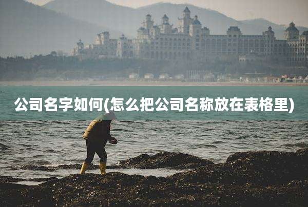公司名字如何(怎么把公司名称放在表格里)