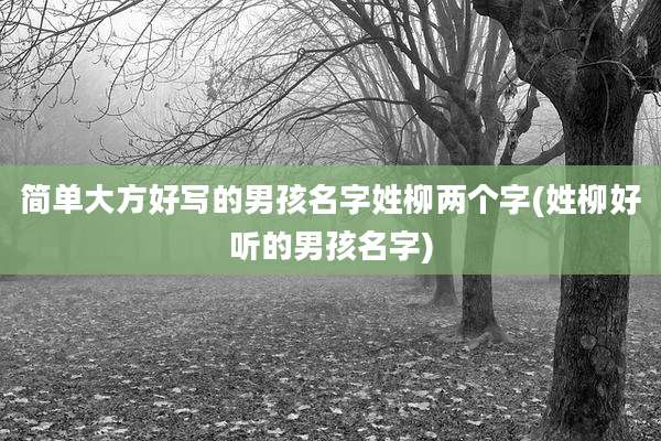 简单大方好写的男孩名字姓柳两个字(姓柳好听的男孩名字)