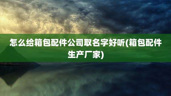 怎么给箱包配件公司取名字好听(箱包配件生产厂家)