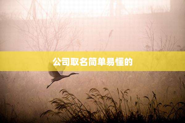 公司取名简单易懂的