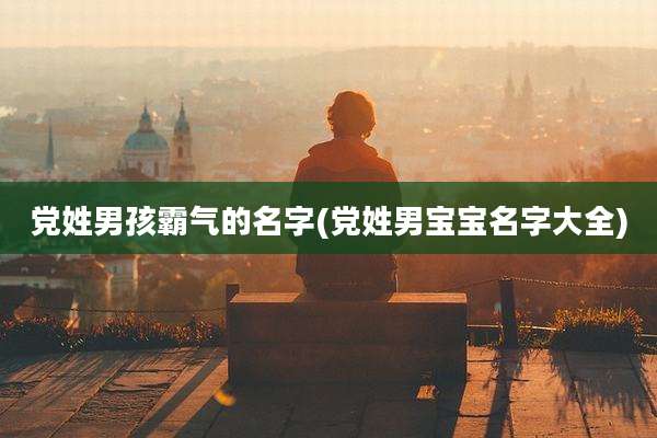 党姓男孩霸气的名字(党姓男宝宝名字大全)