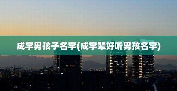 成字男孩子名字(成字辈好听男孩名字)