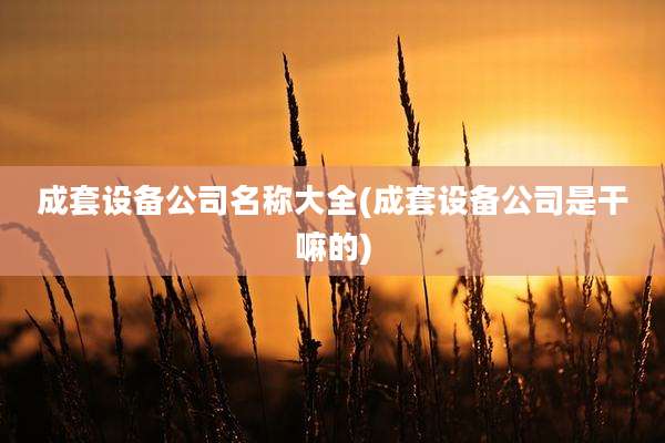 成套设备公司名称大全(成套设备公司是干嘛的)