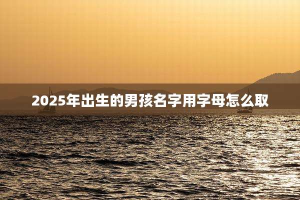 2025年出生的男孩名字用字母怎么取