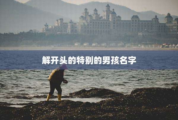 解开头的特别的男孩名字