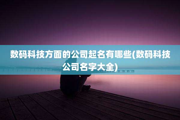数码科技方面的公司起名有哪些(数码科技公司名字大全)