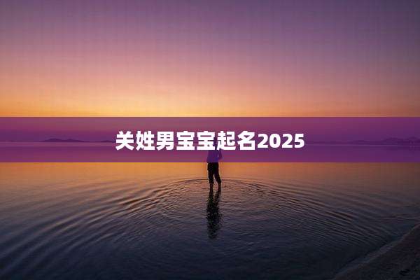 关姓男宝宝起名2025