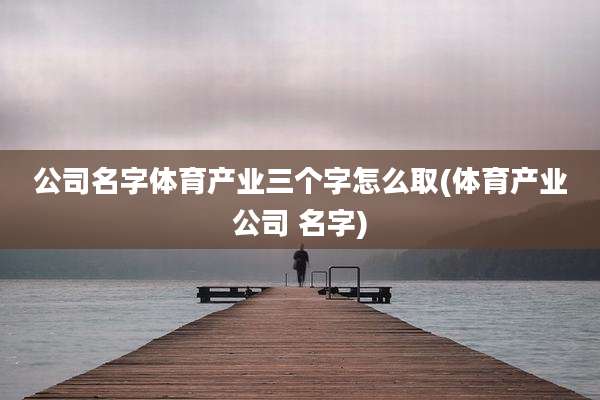 公司名字体育产业三个字怎么取(体育产业公司 名字)