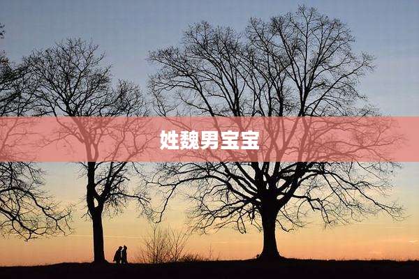 姓魏男宝宝