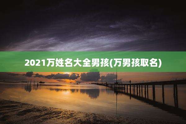 2021万姓名大全男孩(万男孩取名)