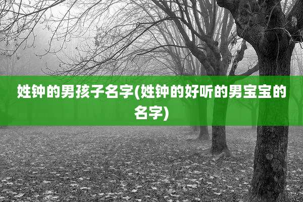 姓钟的男孩子名字(姓钟的好听的男宝宝的名字)