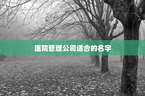 医院管理公司适合的名字