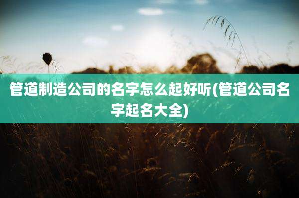 管道制造公司的名字怎么起好听(管道公司名字起名大全)