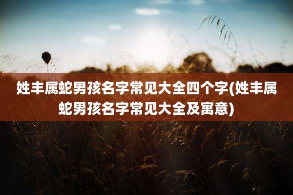 姓丰属蛇男孩名字常见大全四个字(姓丰属蛇男孩名字常见大全及寓意)