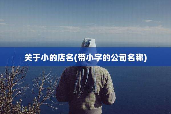 关于小的店名(带小字的公司名称)