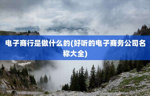 电子商行是做什么的(好听的电子商务公司名称大全)