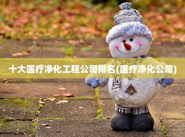 十大医疗净化工程公司排名(医疗净化公司)
