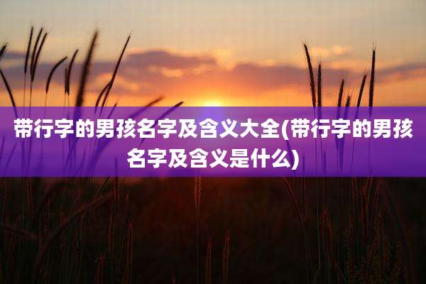 带行字的男孩名字及含义大全(带行字的男孩名字及含义是什么)