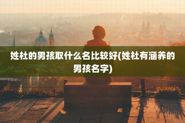 姓杜的男孩取什么名比较好(姓杜有涵养的男孩名字)
