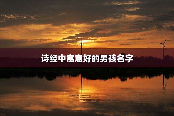 诗经中寓意好的男孩名字
